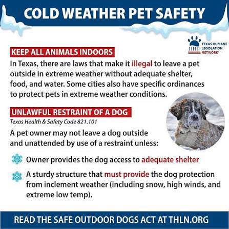 cold weather pet safety